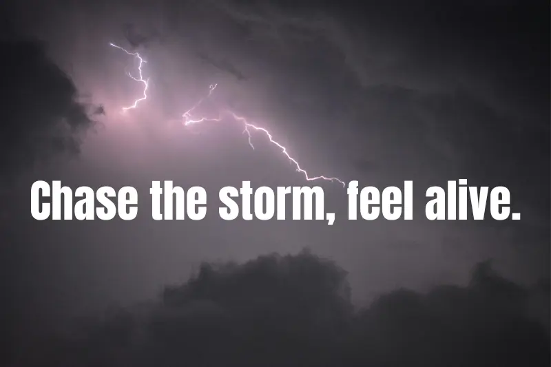 chase the storm, feel alive.