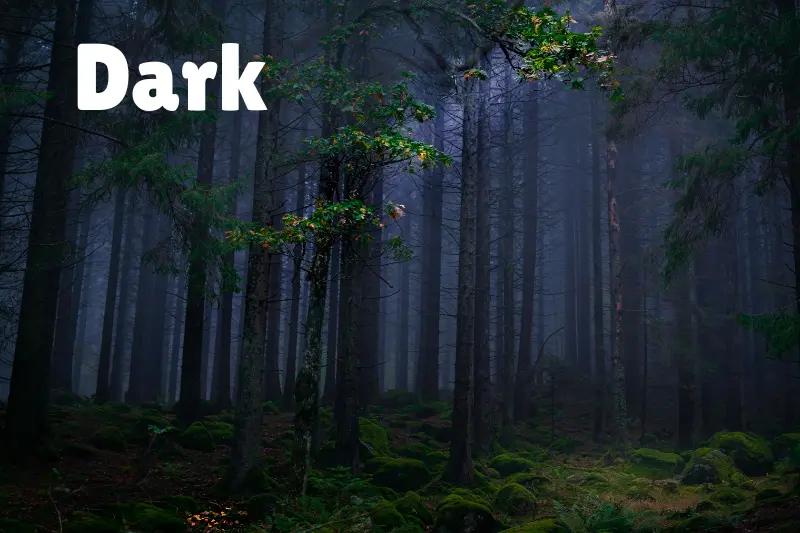 dark 