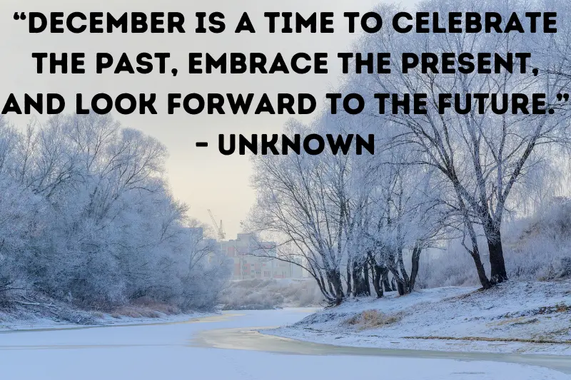 “december is a time to celebrate the past, embrace the present, and look forward to the future.” – unknown