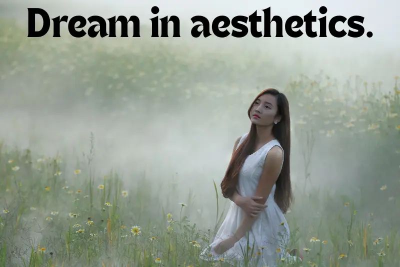 dream in aesthetics.