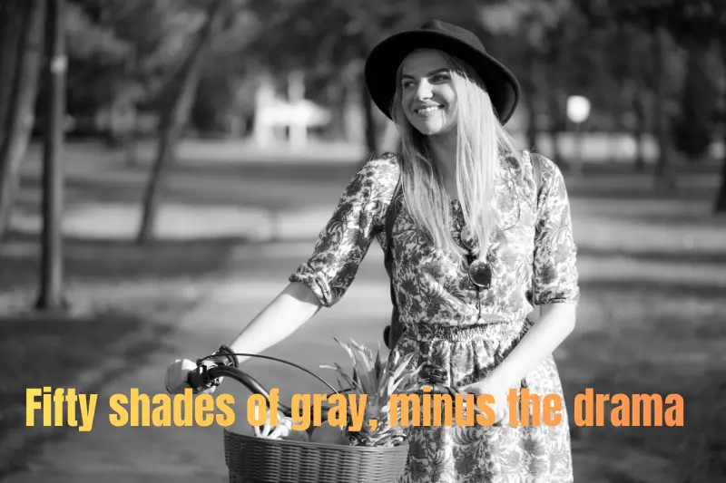 fifty shades of gray, minus the drama