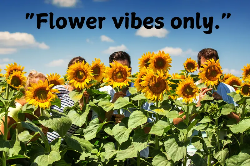 “flower vibes only.”