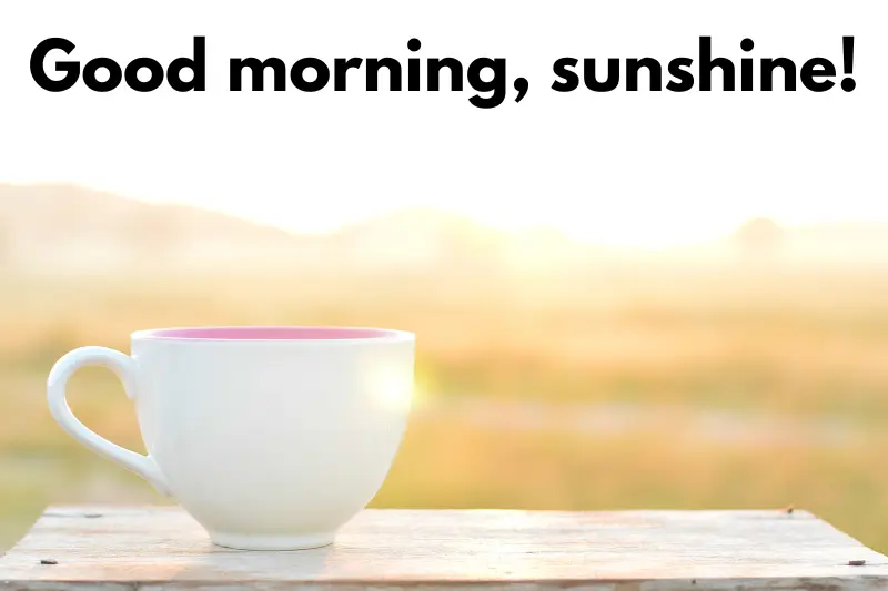 good morning, sunshine!