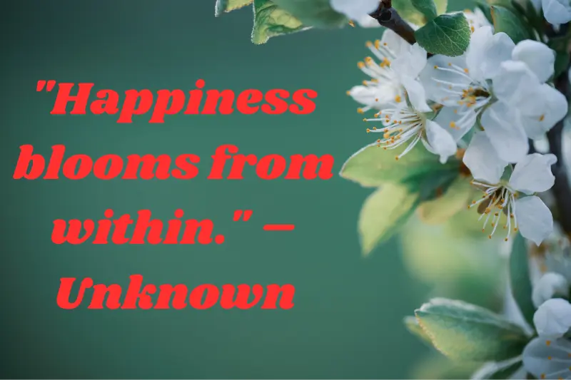happiness blooms from within. – unknown