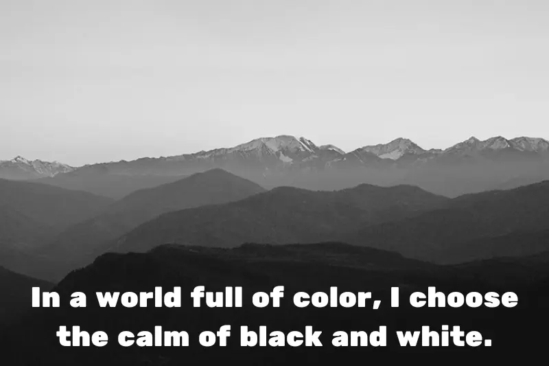 in a world full of color, i choose the calm of black and white. 