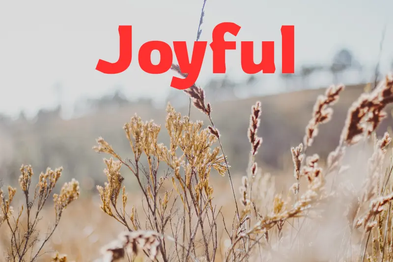joyful