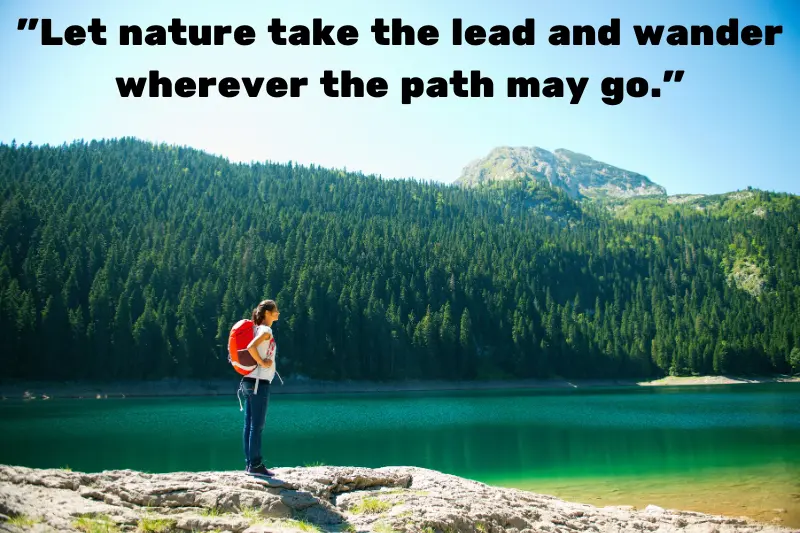let nature take the lead and wander wherever the path may go. 
