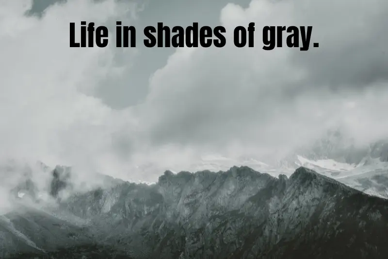 life in shades of gray.
