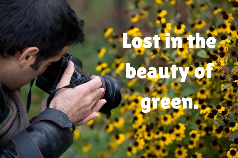 lost in the beauty of green. 