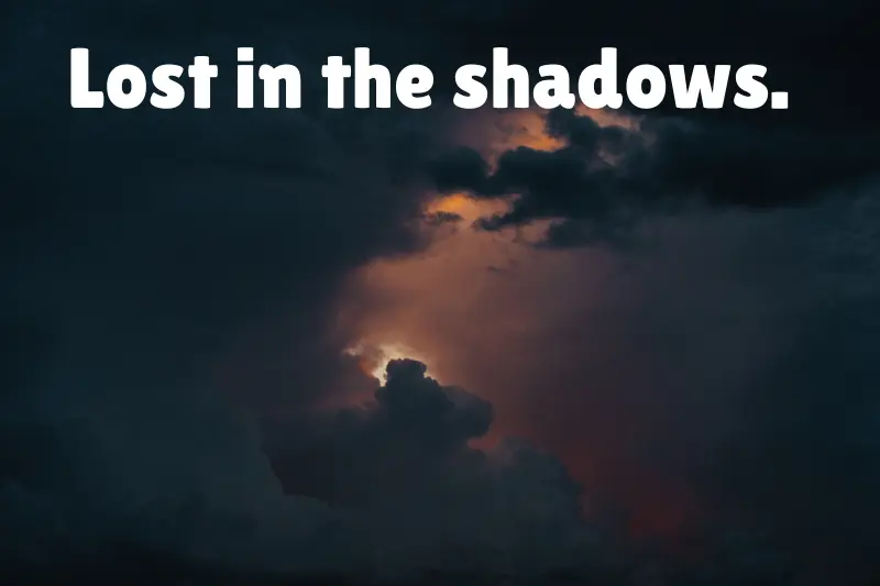lost in the shadows. 
