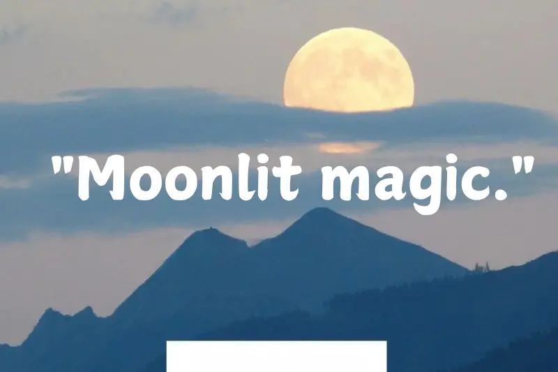 moonlit magic.