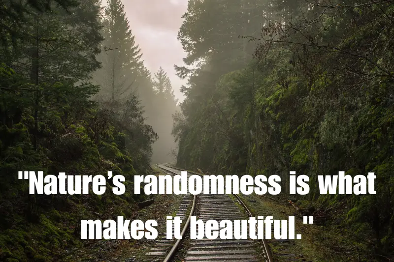 nature’s randomness is what makes it beautiful. 