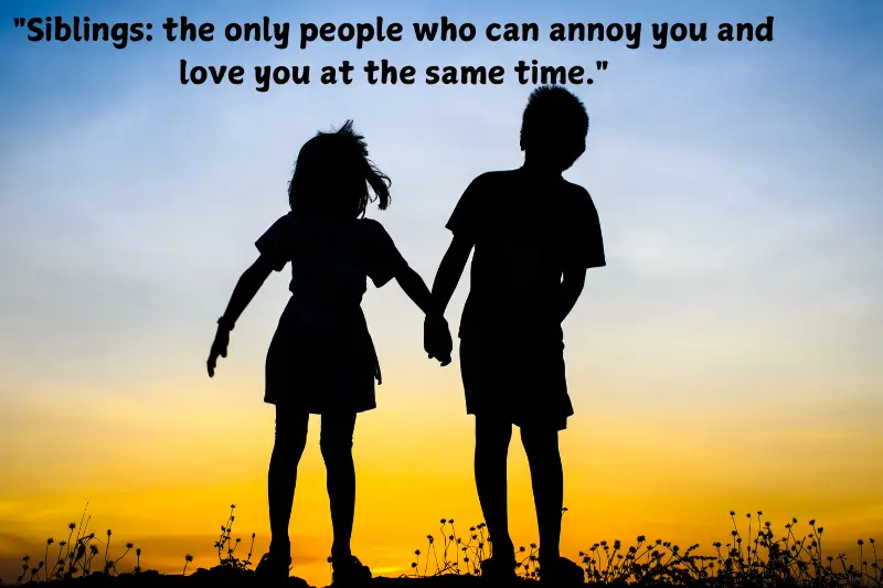 siblings the only people who can annoy you and love you at the same time.