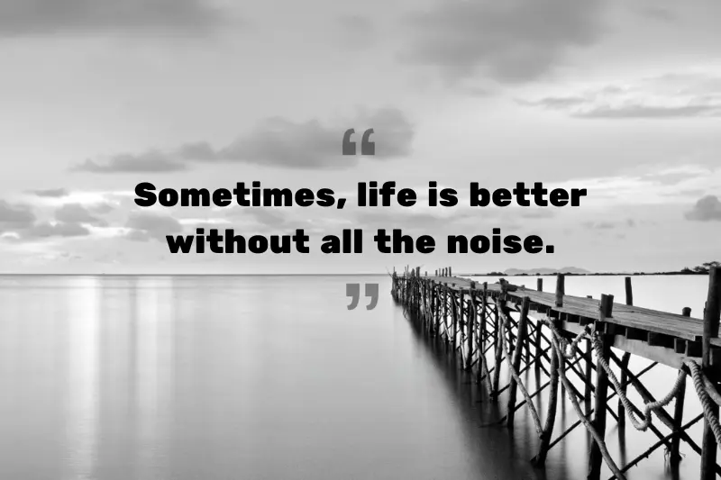 sometimes, life is better without all the noise. 