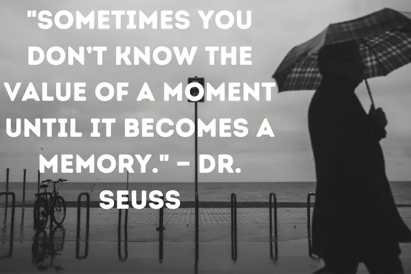 sometimes you don’t know the value of a moment until it becomes a memory. — dr. seuss