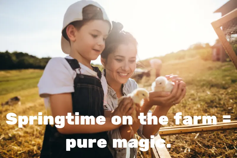 springtime on the farm = pure magic. 