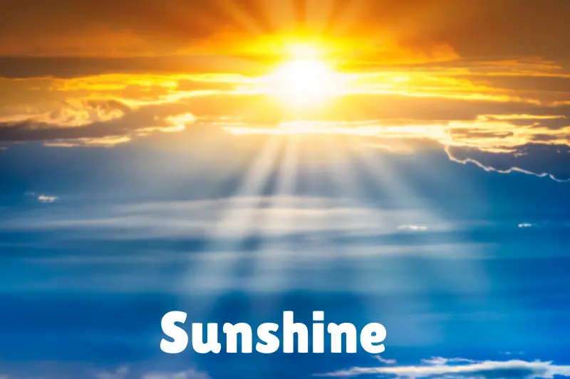 sunshine 