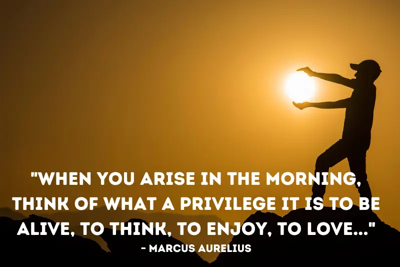 when you arise in the morning, think of what a privilege it is to be alive, to think, to enjoy, to love... – marcus aurelius