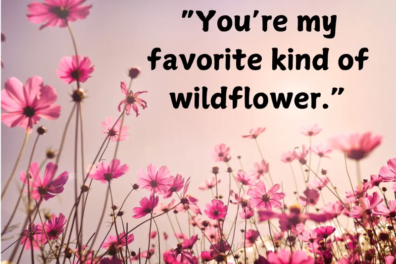 “you’re my favorite kind of wildflower.”
